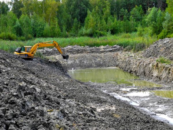 Cost of Fish Pond Digging in Smyrna