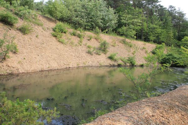 Pond Erosion Repair in Smyrna