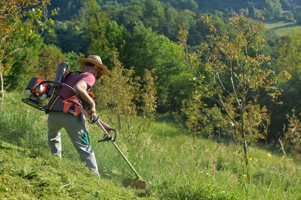 Cost of Slope Trimming in Smyrna